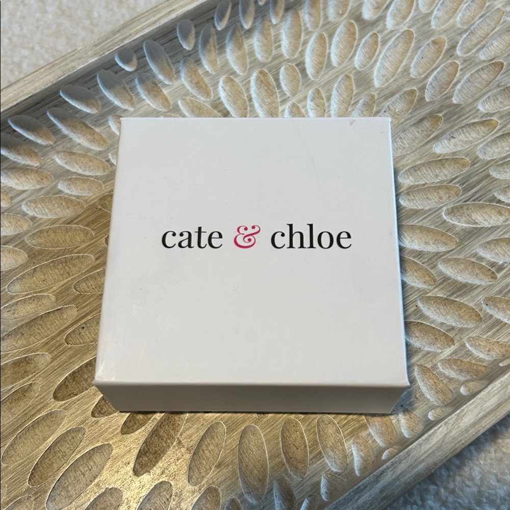 NWT Cate & Chloe Norah 18K White Gold Plated Princess Cut Halo Stud Earrings - Picture 6 of 7